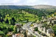 مدينة جنين: قلب المقاومة والتاريخ الفلسطيني